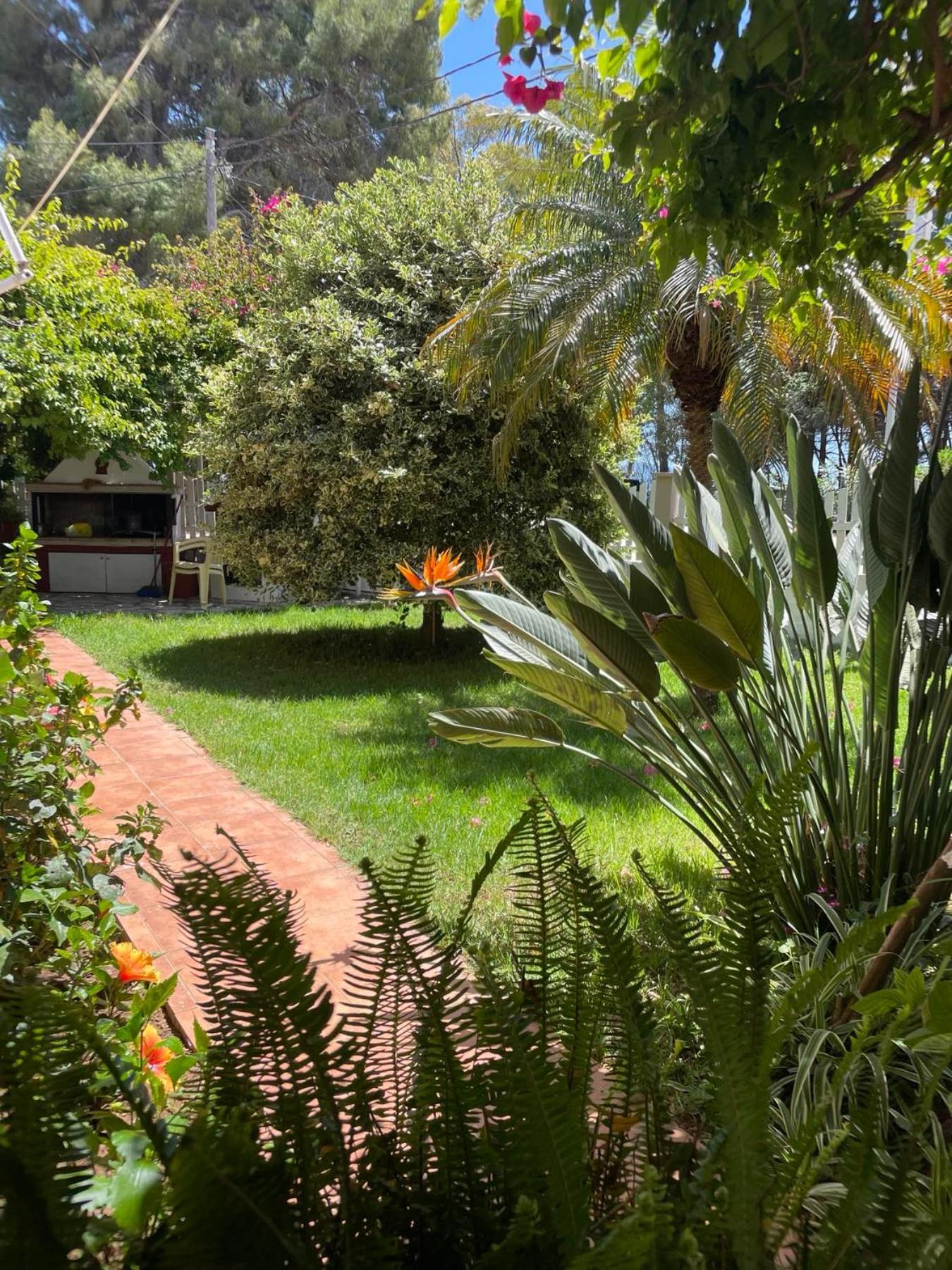 Buganvillas Studios เปรเวซา ภายนอก รูปภาพ